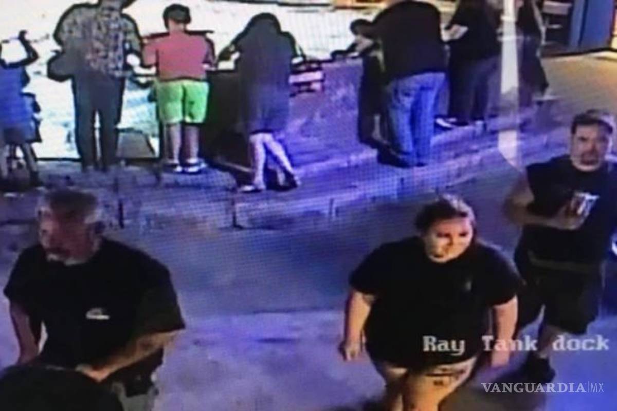 Roban tiburón de un acuario...¡lo hacen pasar por un bebé!