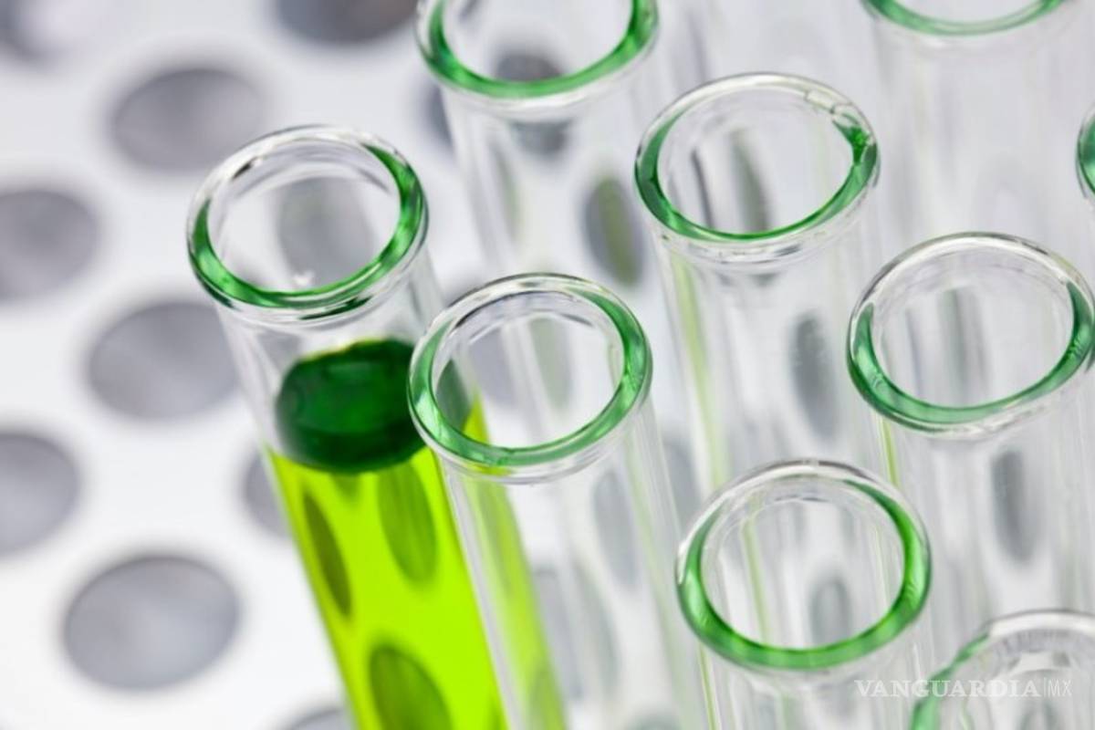 América Latina tendrá proyectos relacionados con el coronavirus financiados por Google