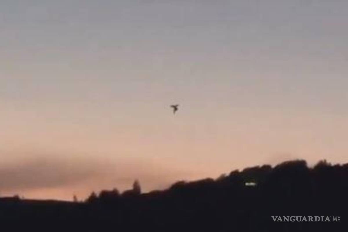 ¿El hombre polilla o un extraterrestre?... Jaime Maussan muestra imágenes de un ser humanoide volador (video)