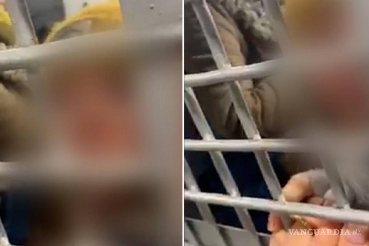 Rusia estaría reeducando a miles de niños ucranianos