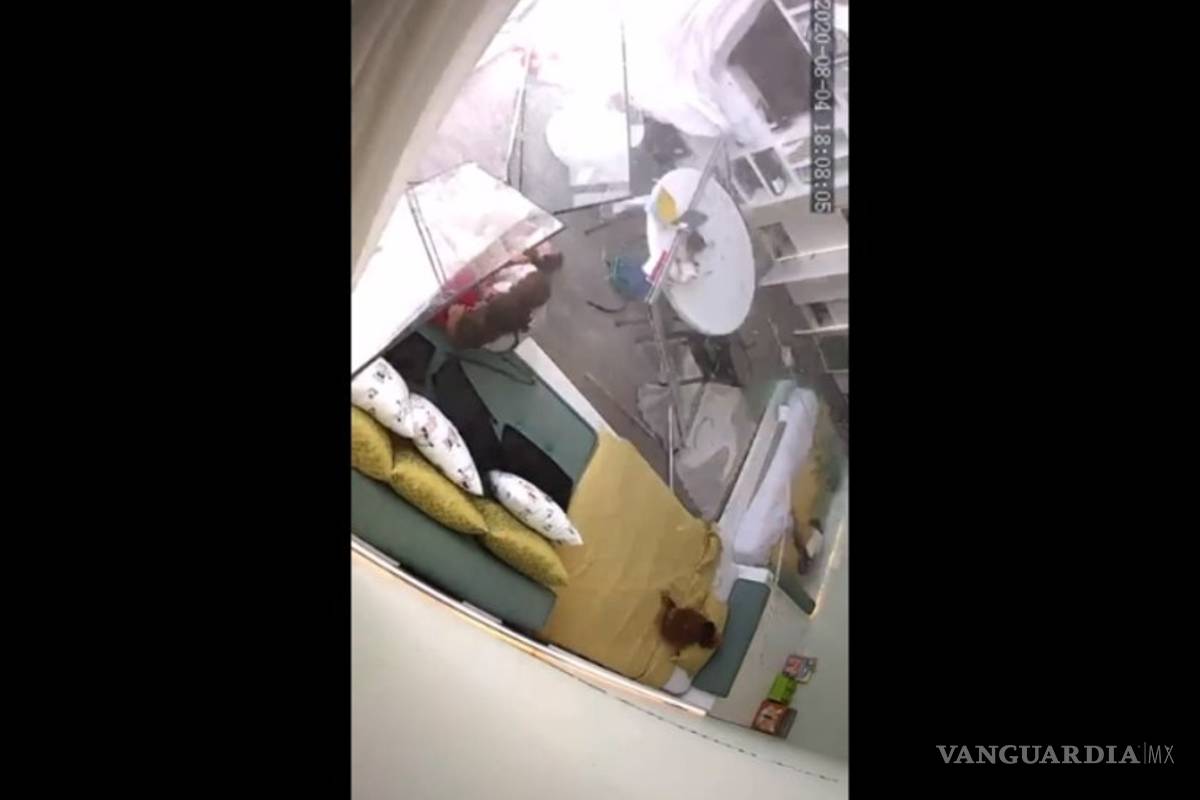 Así vivieron la tragedia de Beirut tres niños de origen mexicano