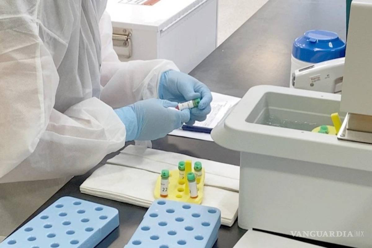 La OMS ve “prometedores” los resultados de la vacuna anti COVID-19 de Pfizer