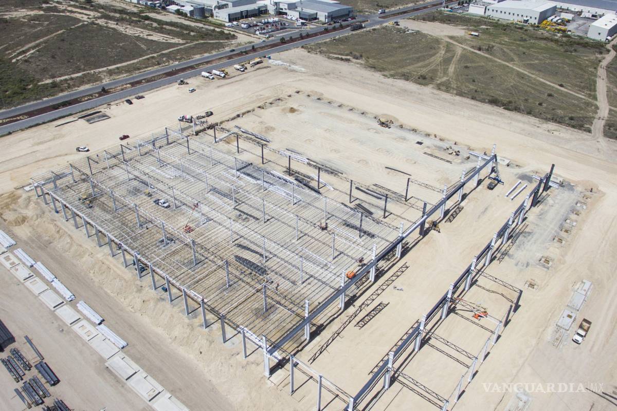 Se Apuntala Davisa en parques locales