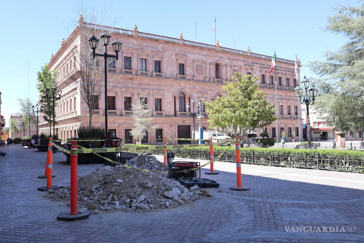Saltillo: Comienzan obras en Paseo Capital para instalar esculturas de familia de osos