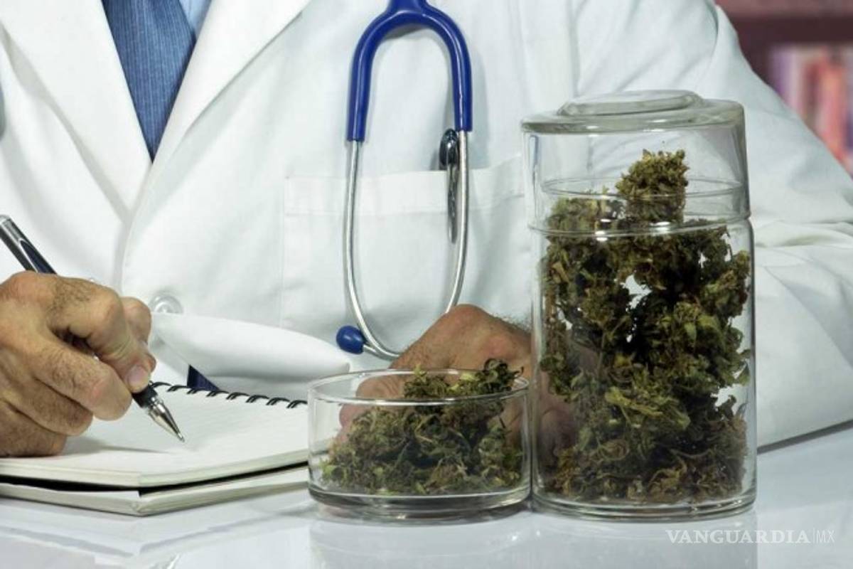 Médicos uruguayos inician en abril curso sobre uso clínico de cannabinoides