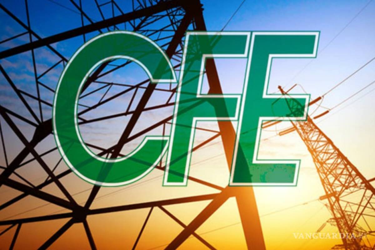 Prodemi de Coahuila prefiere la opacidad al rehusarse a informar y publicar los contratos con la CFE