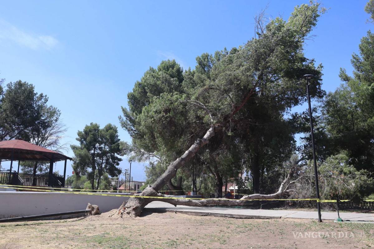 Saltillo: niños de la colonia Latino se quedan sin parque en vacaciones; vecinos buscan rehabilitarlo