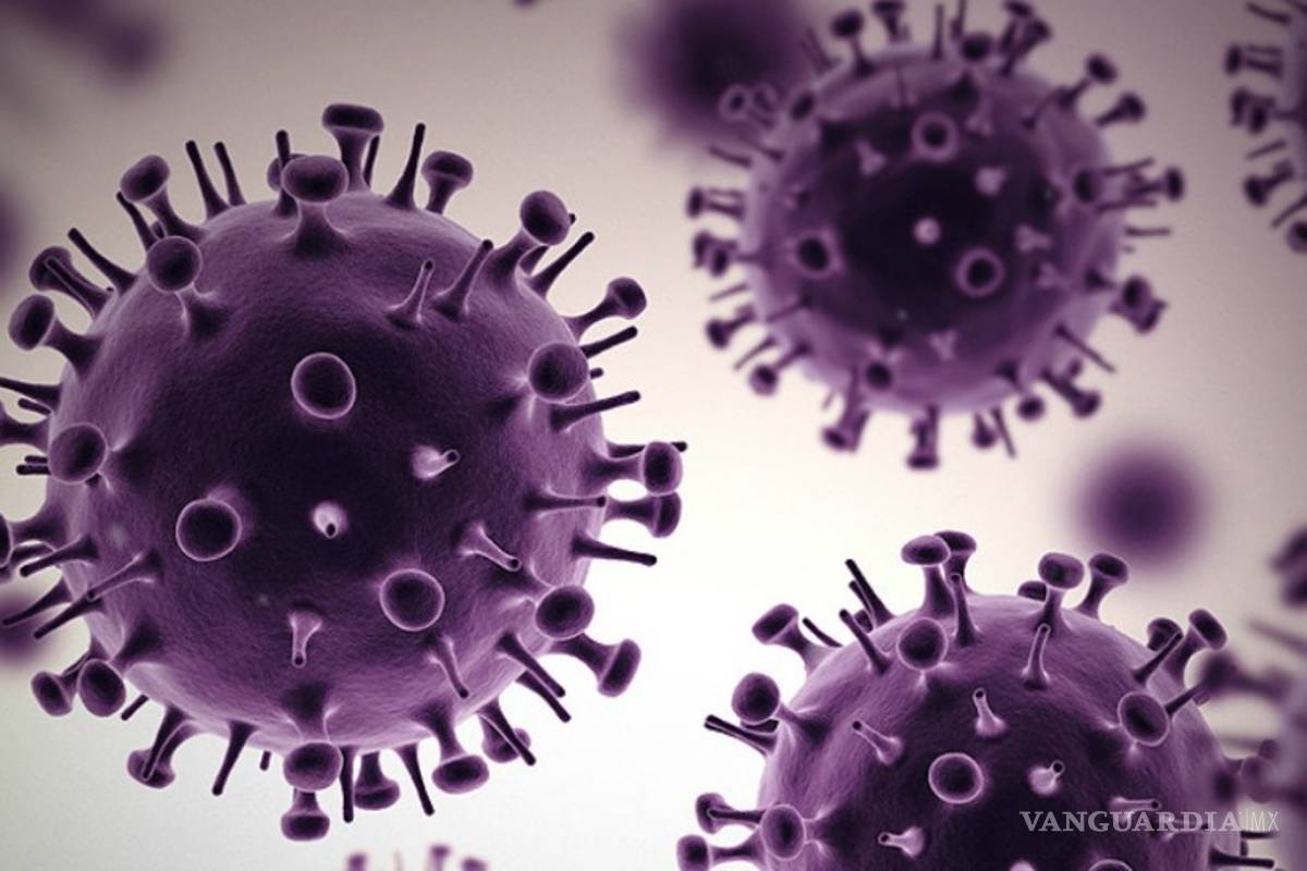 Descarta Secretaría de Salud de Tamaulipas que posible caso de coronavirus registrado sea una alerta para el País