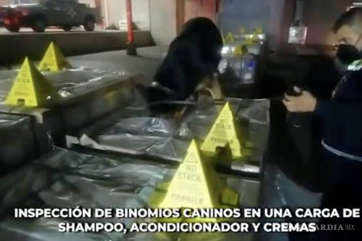 Decomiso récord de metanfetamina en el AICM; ocultaron miles de kilos en shampoo