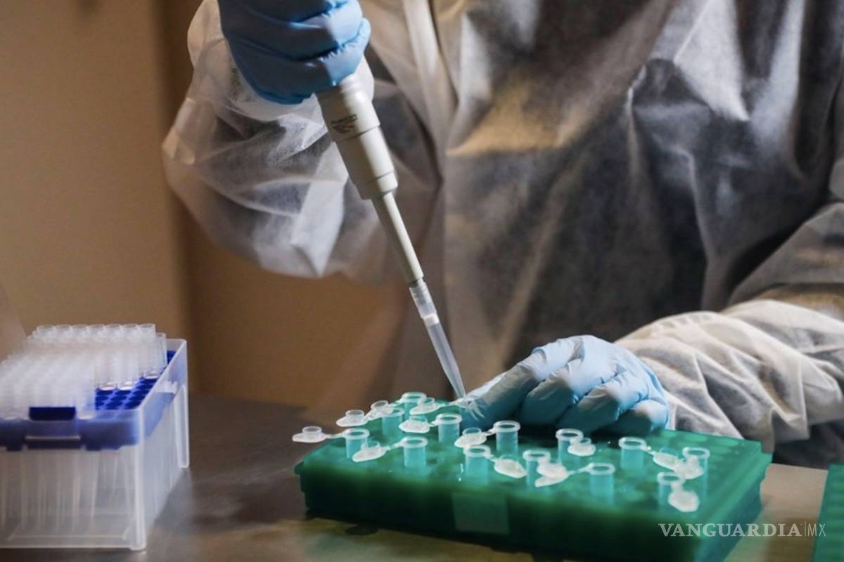 Pfizer sabrá en un mes si funciona su vacuna contra COVID-19