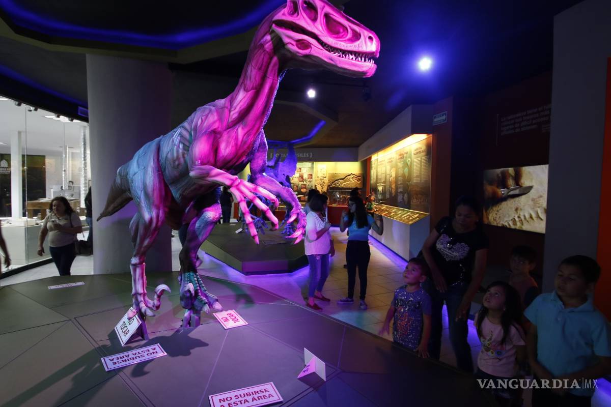 Museo del Desierto de Saltillo presenta área totalmente renovada, en el marco de su vigésimo aniversario