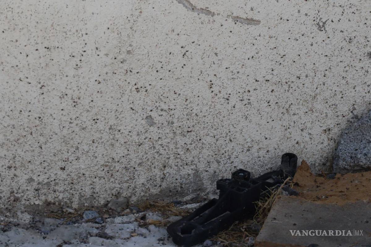 Fumigarán 75 escuelas por plagas de garrapatas y chinches; hay 20 colonias afectadas entre Saltillo y Ramos