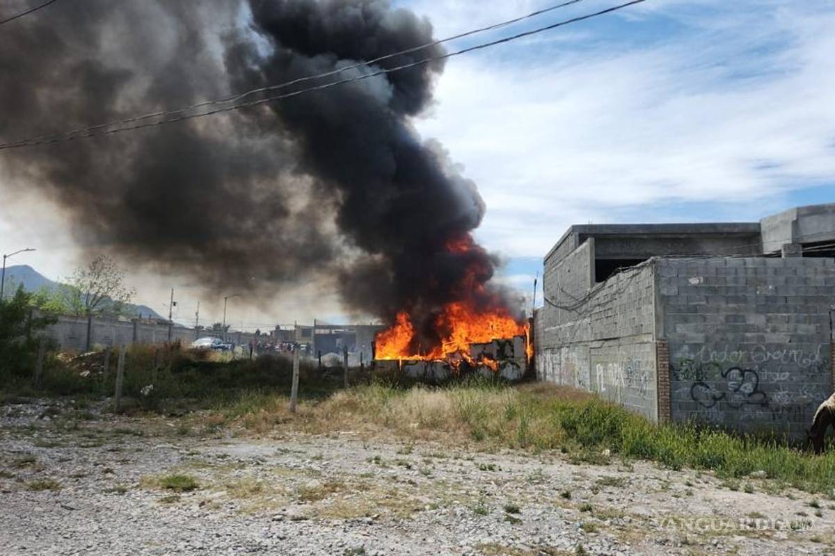 Saltillo: fallecen dos yeguas y varias gallinas en trágico incendio; se desconocen causas
