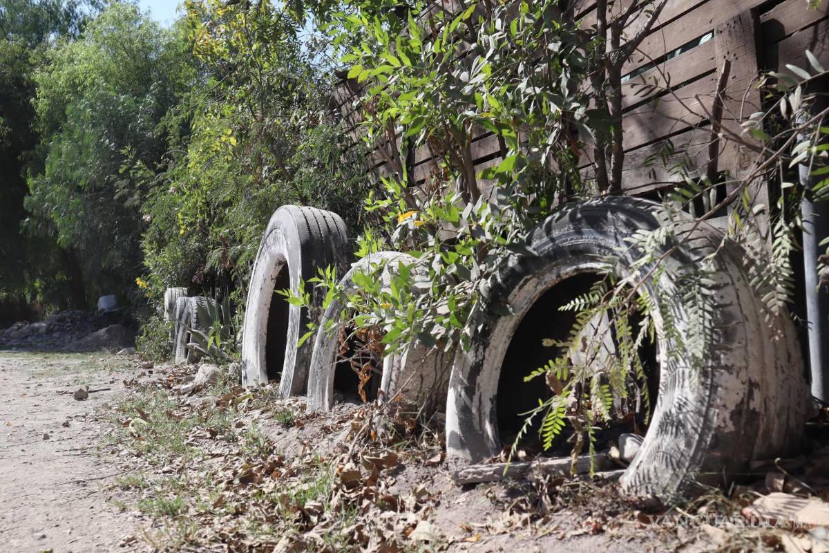 $!La muerte sorpresiva del niño, causó conmoción en la colonia.