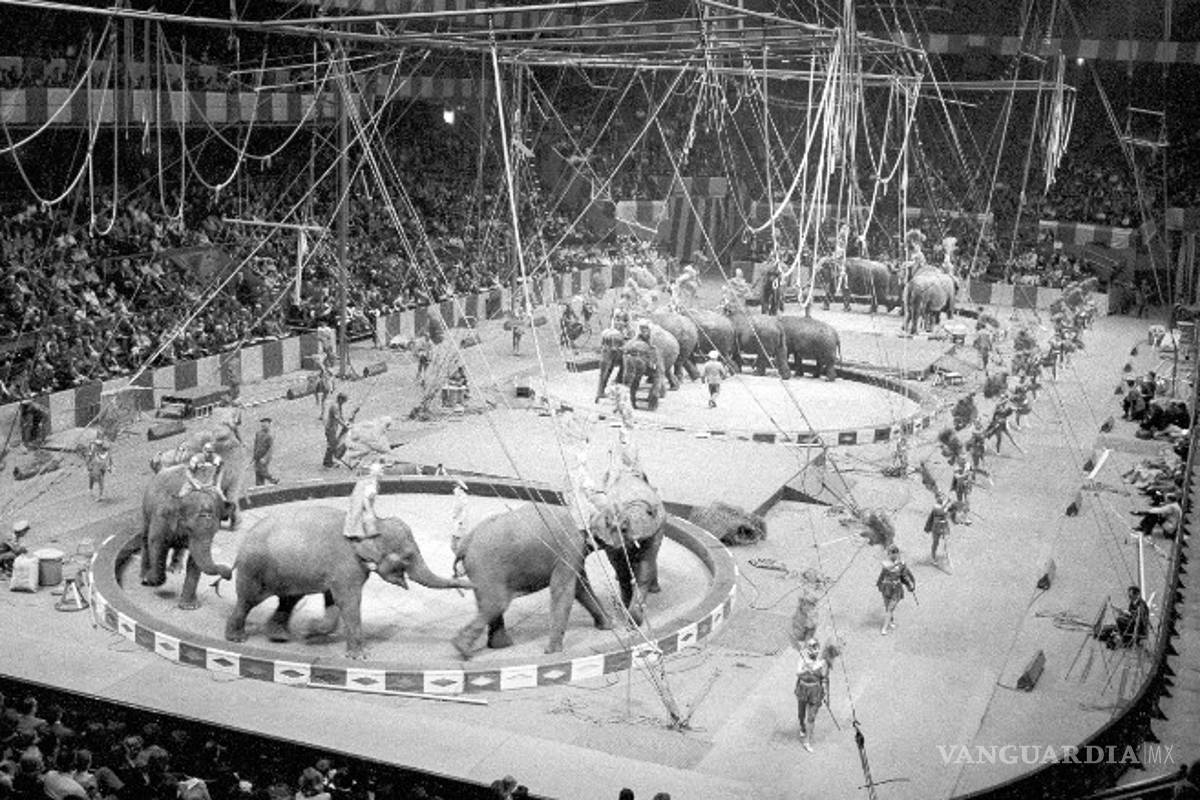 Cierra el circo Ringling Brothers tras 146 años