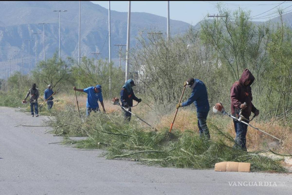 $!Las cuadrillas municipales trabajaron en el retiro de basura y mantenimiento de puentes.