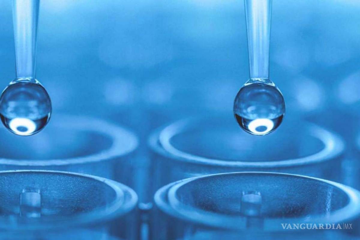 20 años de la primera clonación humana