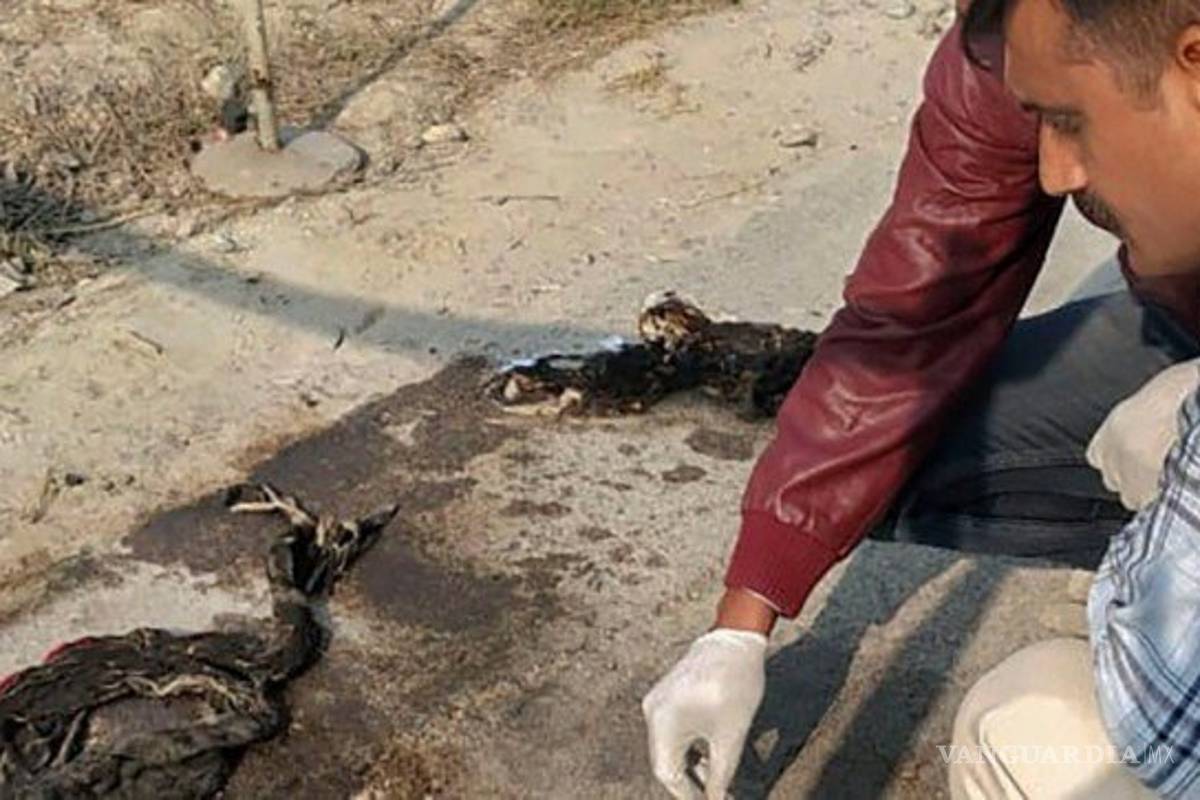 $!Iba a denunciar a los hombres que abusaron de ella, la queman camino a la audiencia