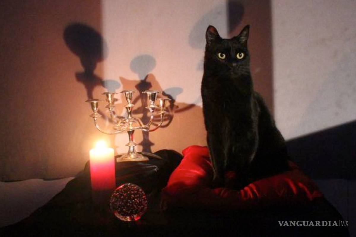 Así luce Salem, el gato de Sabrina, en la serie de Netflix