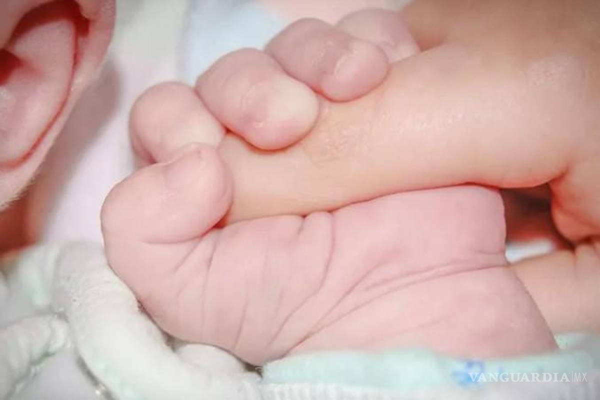 La cigüeña, con mucho trabajo en Coahuila; nacen 15 mil 154 bebés al año en hospitales del IMSS