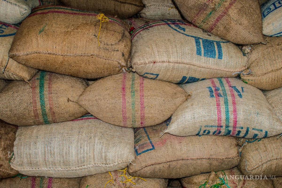 México alcanzó un gasto récord en importar granos básicos