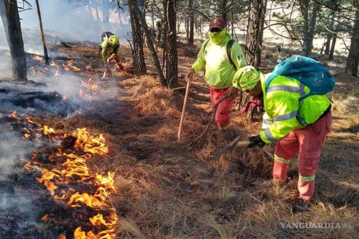 NL solicita declaratoria de emergencia por incendio en la Sierra de Santiago