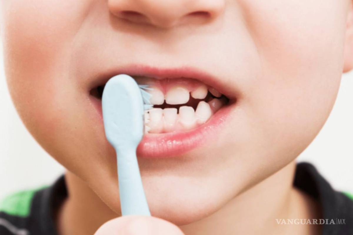 Saltillo: 8 de cada 10 niños que acuden al dentista tienen higiene bucal deficiente