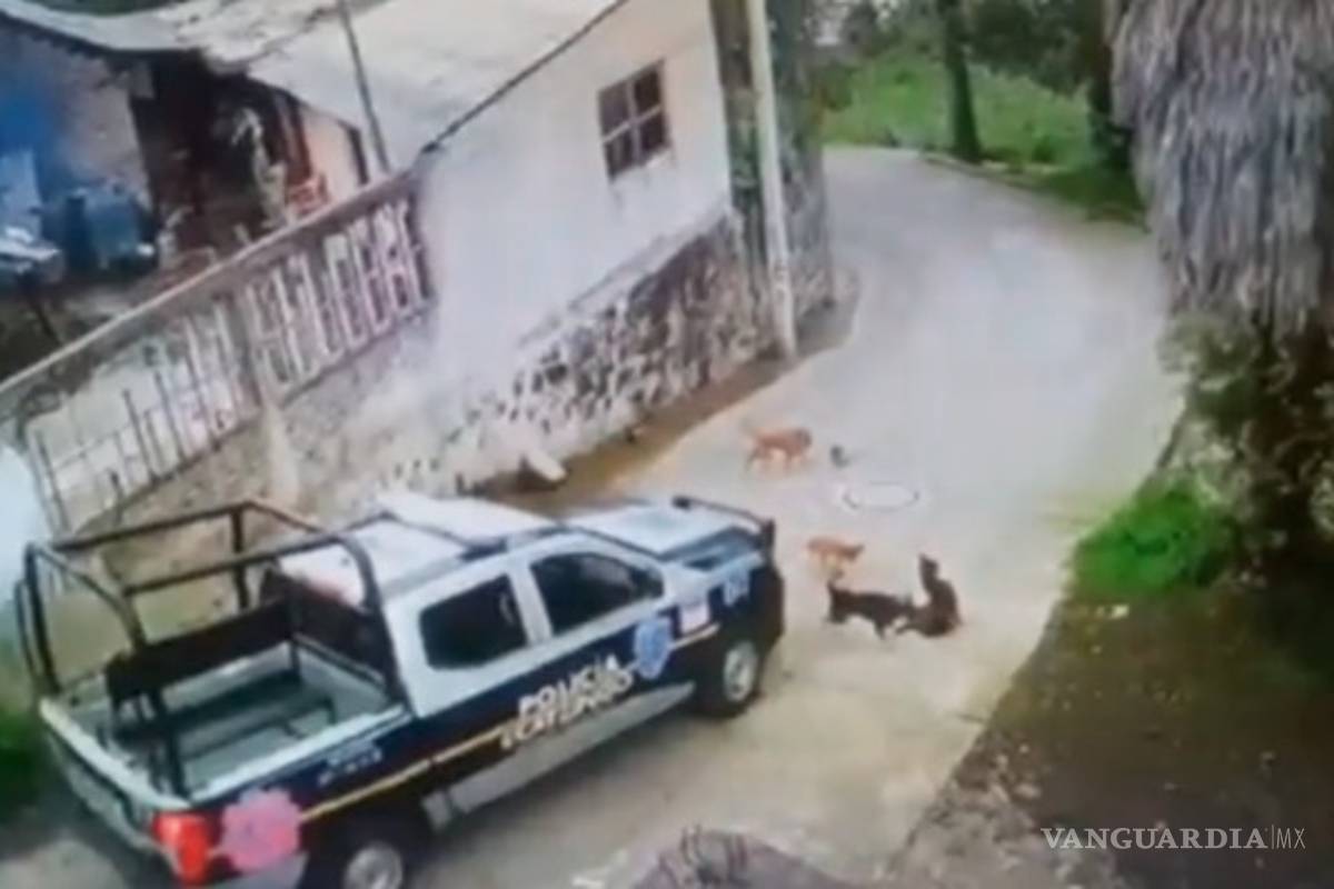 Edomex: una patrulla atropelló y mató sin miramientos a un perro