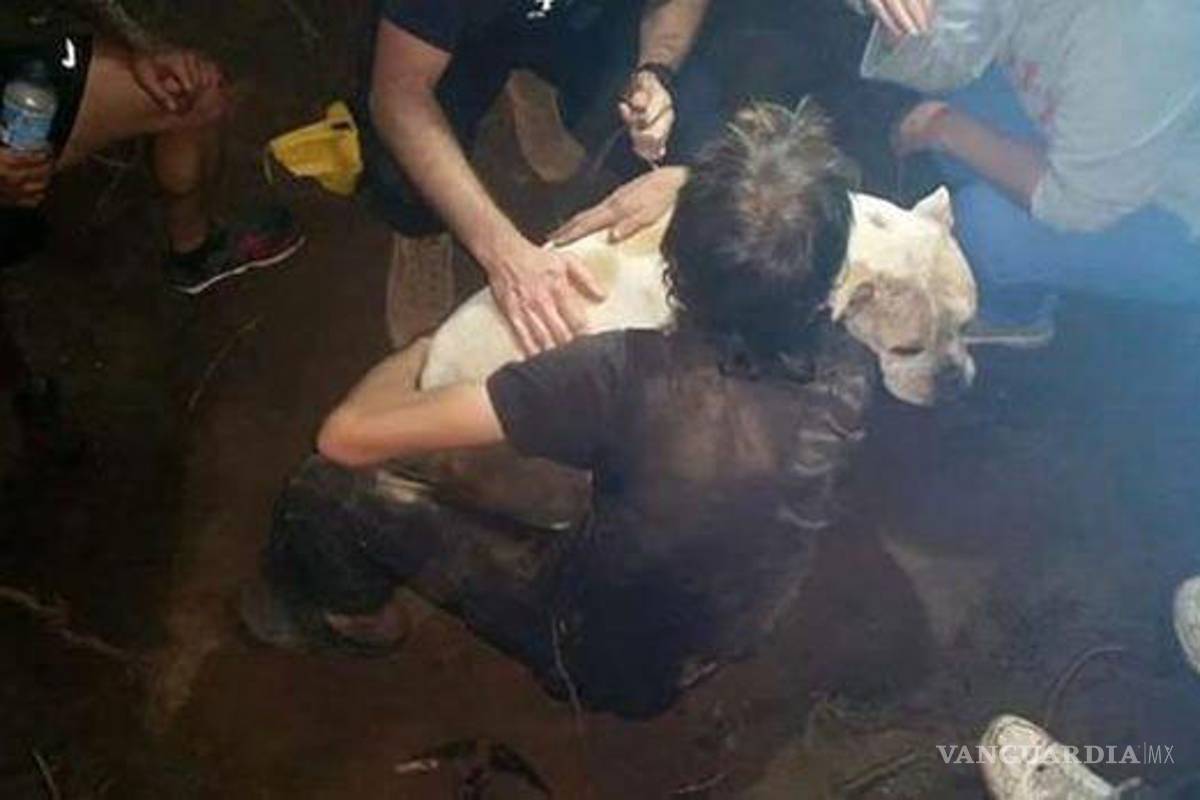 Hacen todo por rescatar a un perro atrapado tres días bajo tierra