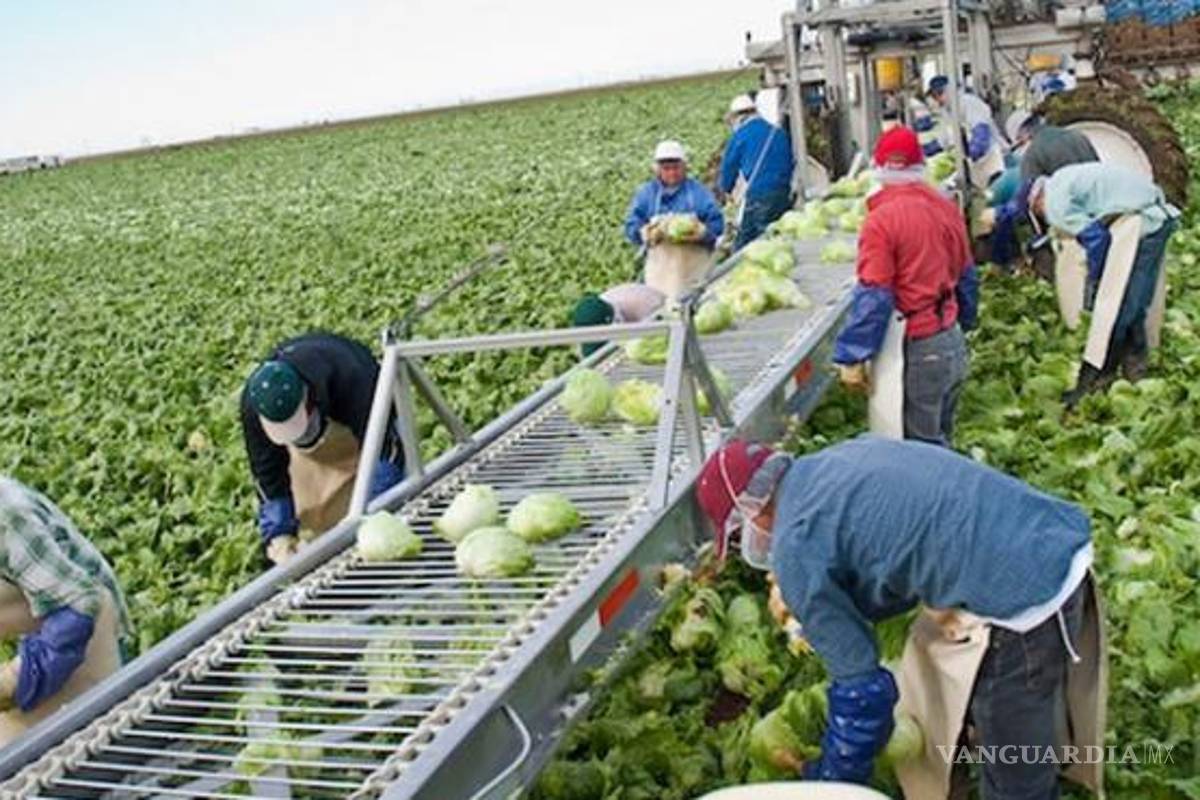 En EU los mexicanos ganan 5 veces más que siendo empleados aquí