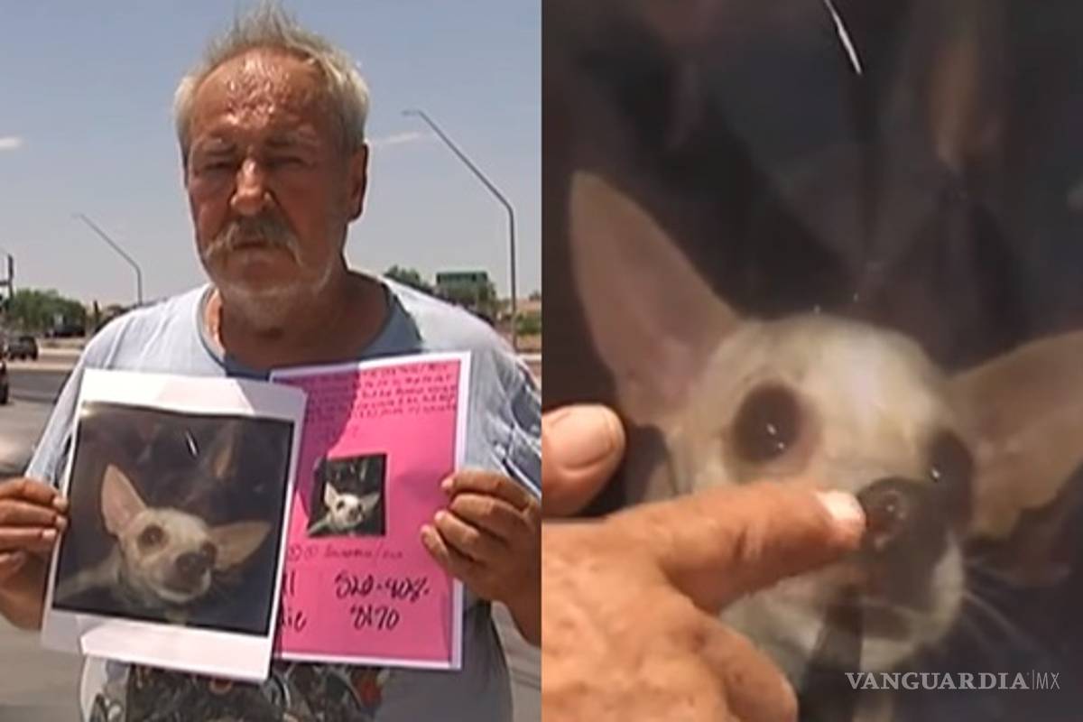 Ofrece casa y terreno con tal de encontrar a su perrita