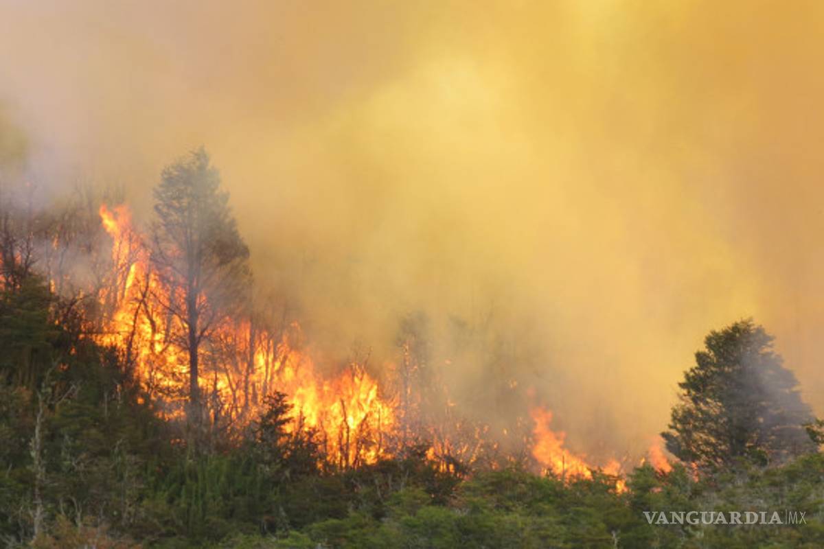 $!Fuego destruye 840 mil hectáreas de campos en Argentina