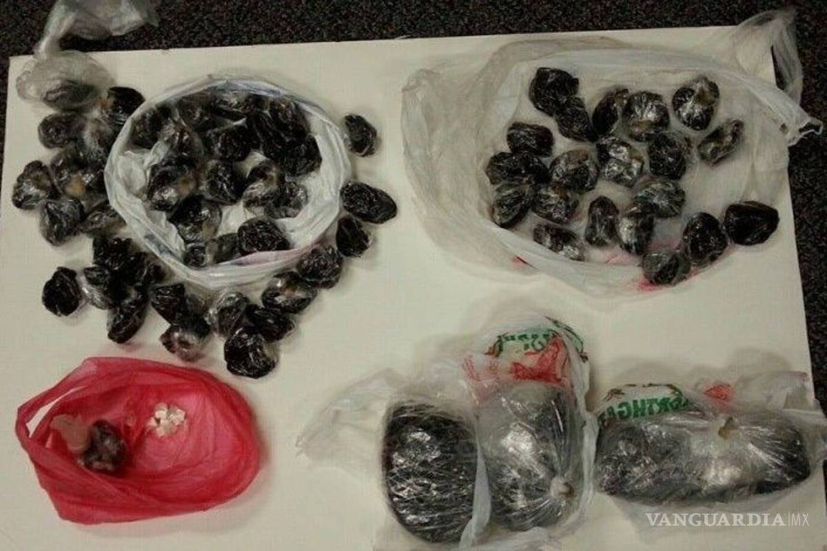 Alerta en California por bacteria carnívora; mueren 7