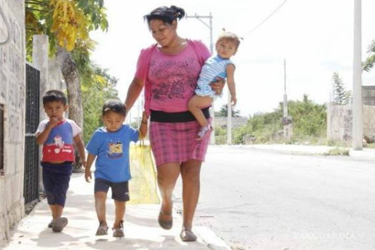 Legislador propone dar asistencia social a jefas de familia