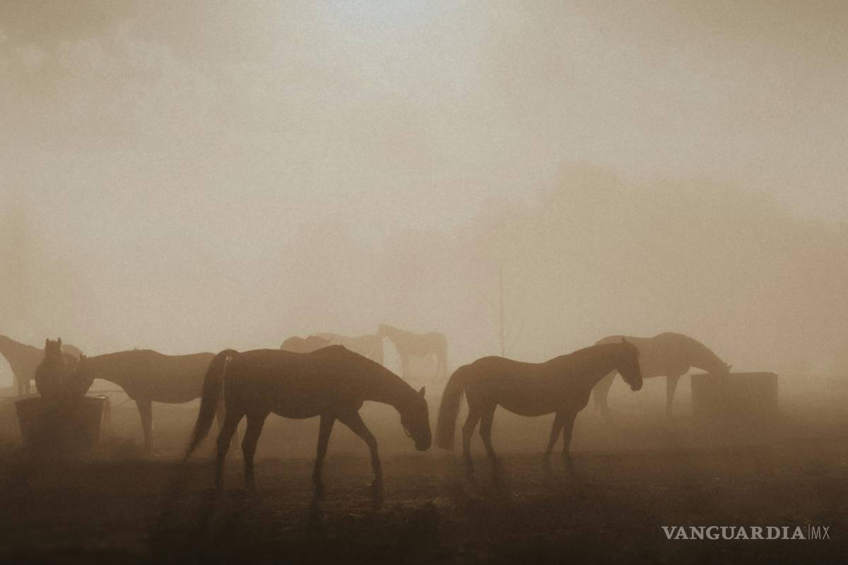 Rosalbo como un lucero