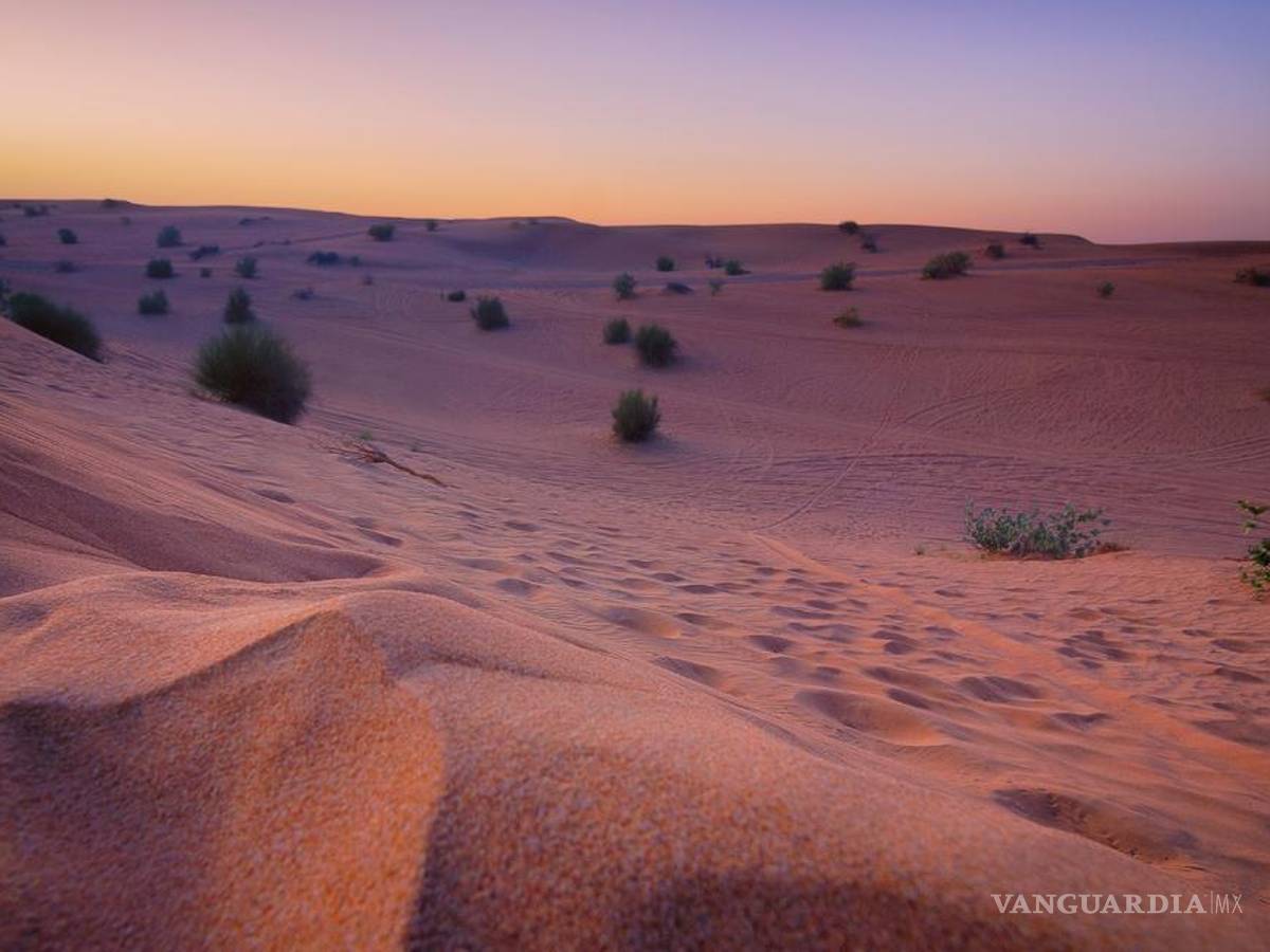 $!Uno de los paisajes desérticos más hermosos de México: las Dunas de Bilbao.