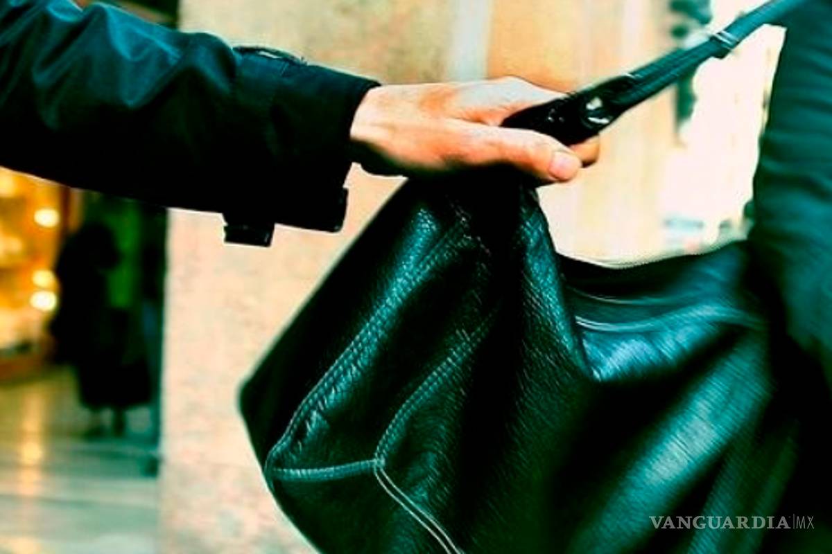 Le roban a mujer de la tercera edad bolso con 93 mil pesos, en la Balcones de Buenavista de Saltillo