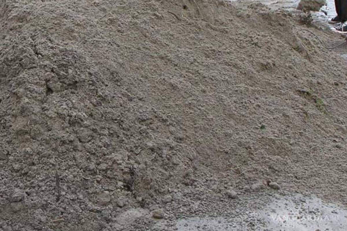 Usan saltillenses ceniza volcánica para cemento