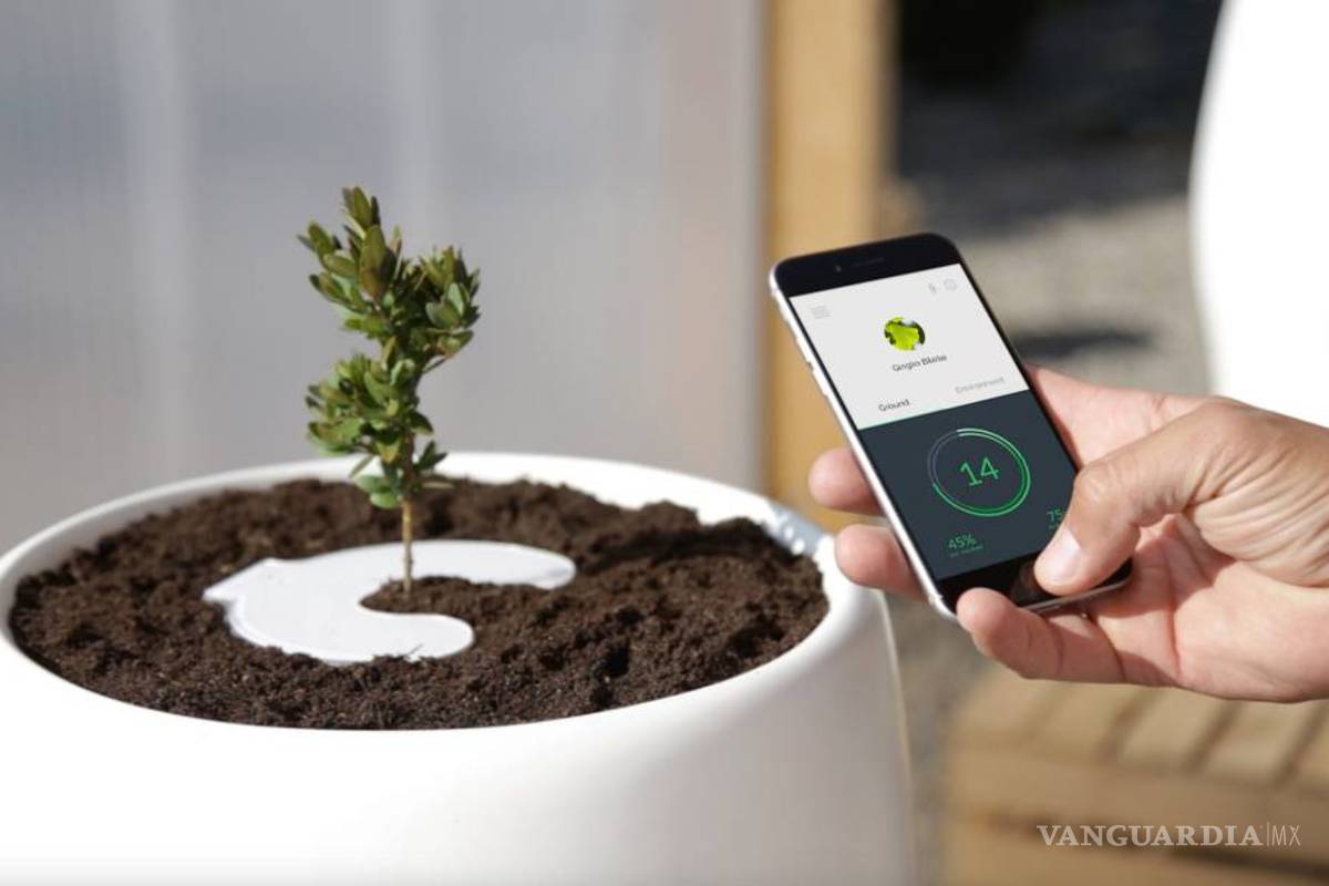 Bios Incube, cenizas que dan vida