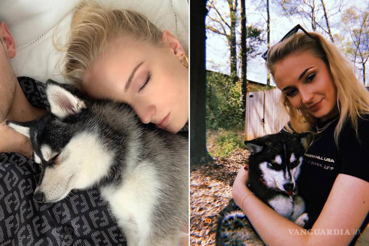 Sophie Turner y Joe Jonas rinden homenaje a su perro fallecido con tatuaje