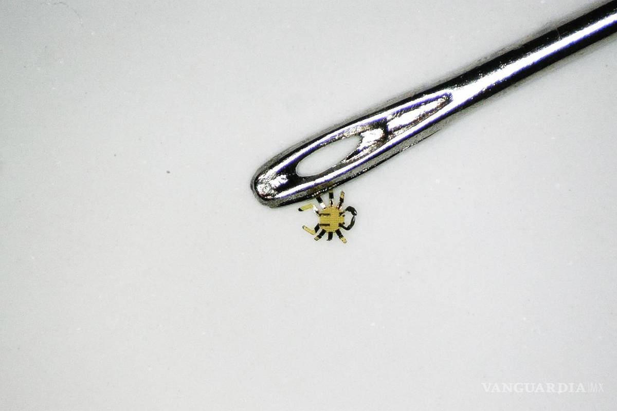 Conoce al robot cangrejo más pequeño del mundo