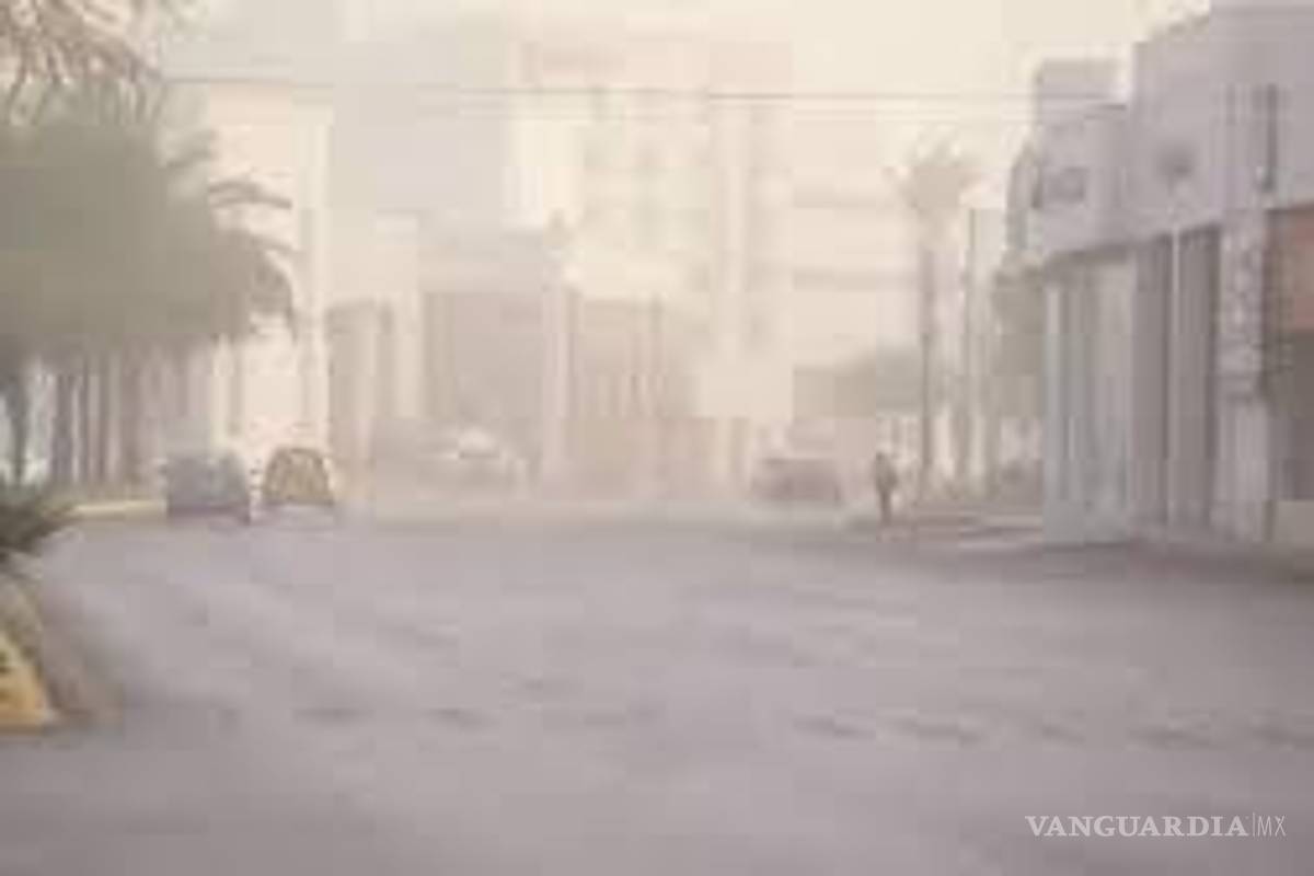 No hay un plan de acción específico que aborde la mala calidad del aire en Torreón: activista