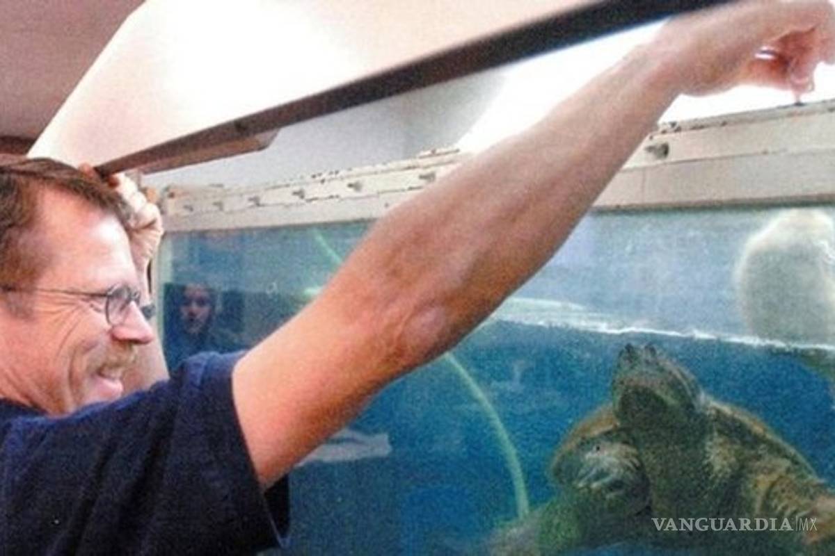 Profesor es detenido por alimentar a tortuga carnívora con un cachorro vivo