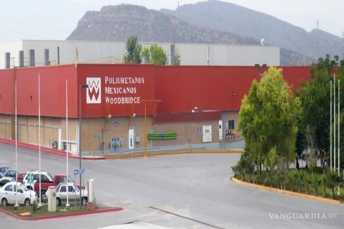 Abrirán en León planta hermana de Lamination