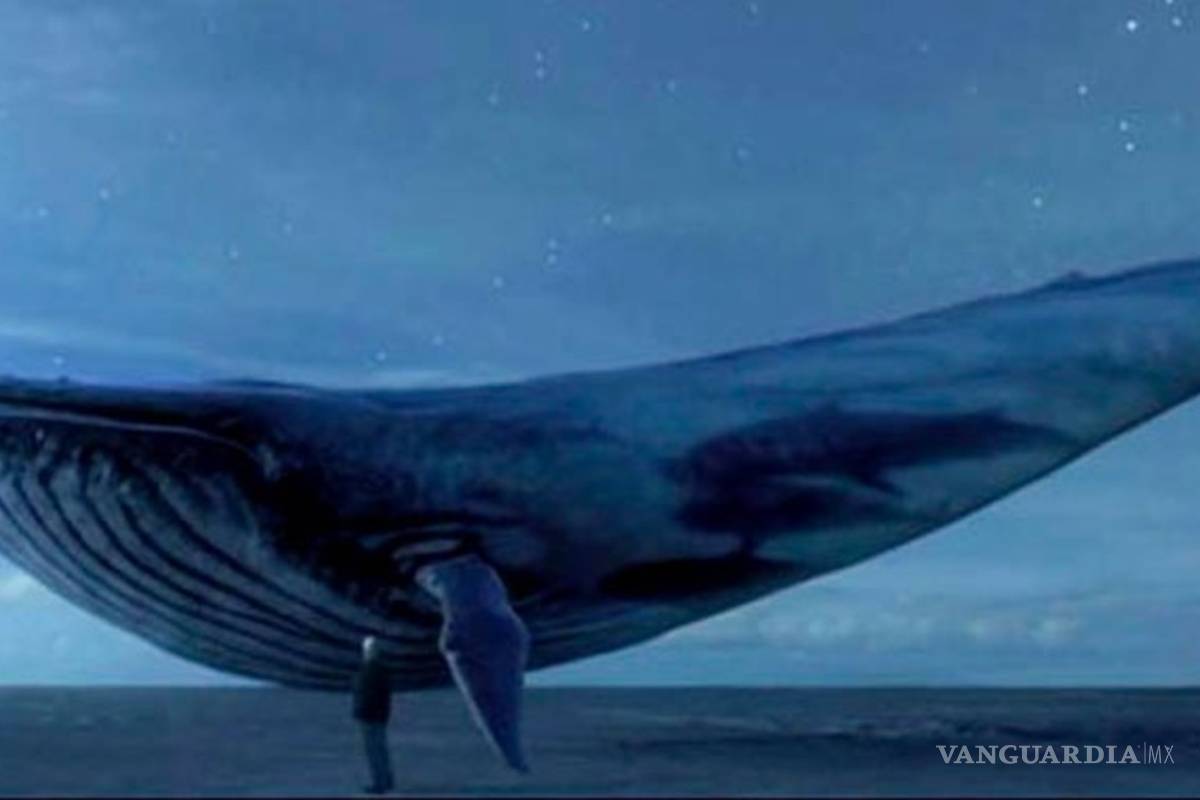 Colombia liga a sitios mexicanos con reto 'ballena azul' y 3 suicidios