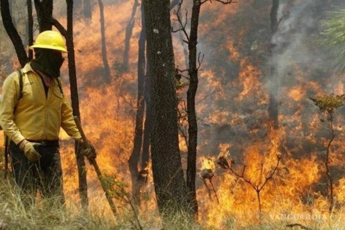 Reportan 20 incendios diarios en Yucatán