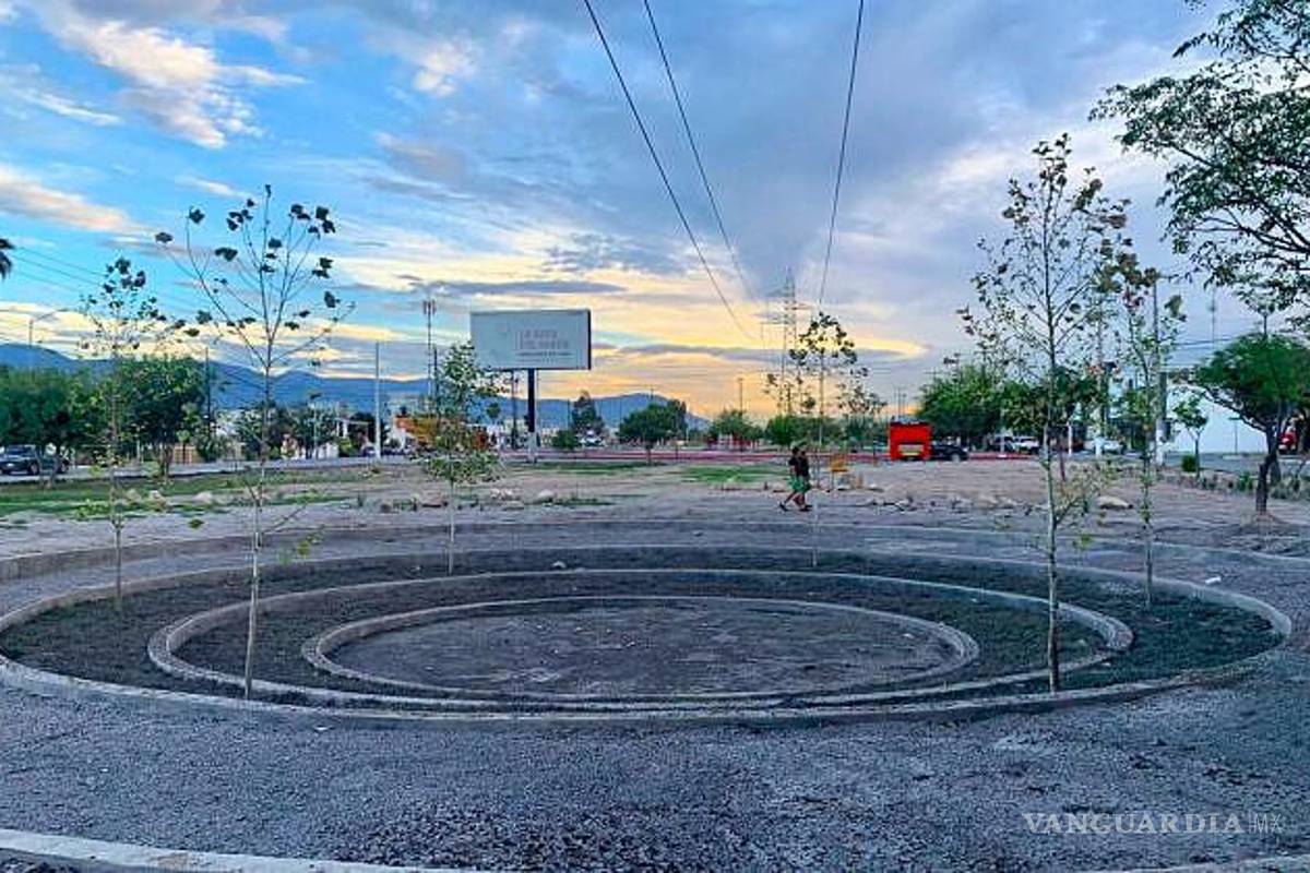 Nuevo León podría ‘copiar’ jardines de lluvia de Saltillo para enfrentar la crisis hídrica