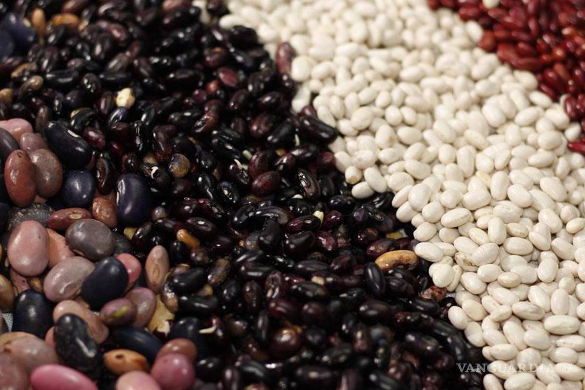 Frijoles Isadora vs. La Sierra: según la Profeco, ¿cuáles son mejores?