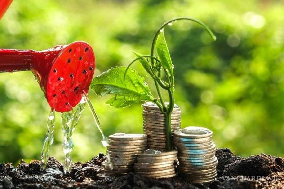 Sector financiero impulsa electromovilidad y créditos verdes en México