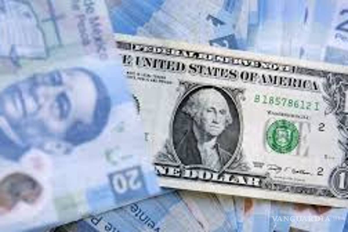 Peso 'pisa el freno' y cae ligeramente frente al dólar
